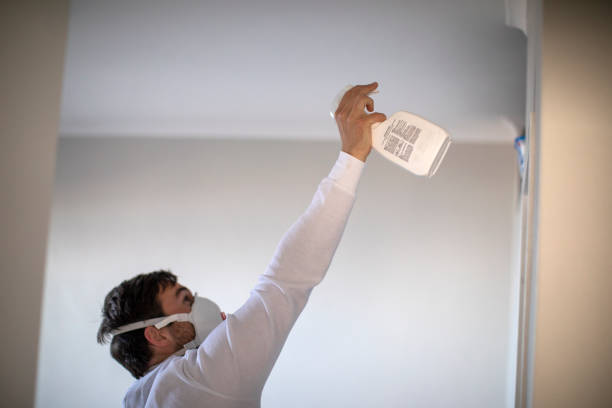 Best Affordable Mold Removal  in Sherwood Manor, CT