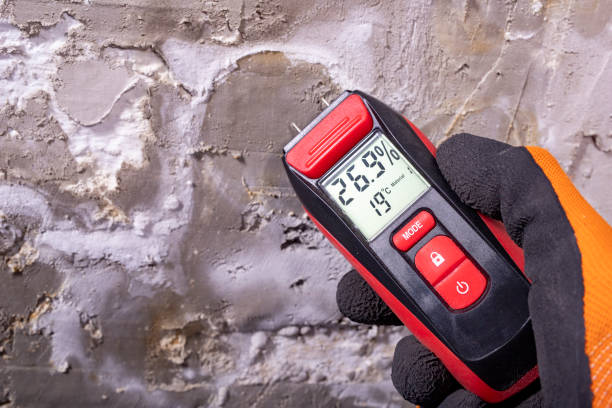 Best Toxic Mold Removal  in Sherwood Manor, CT