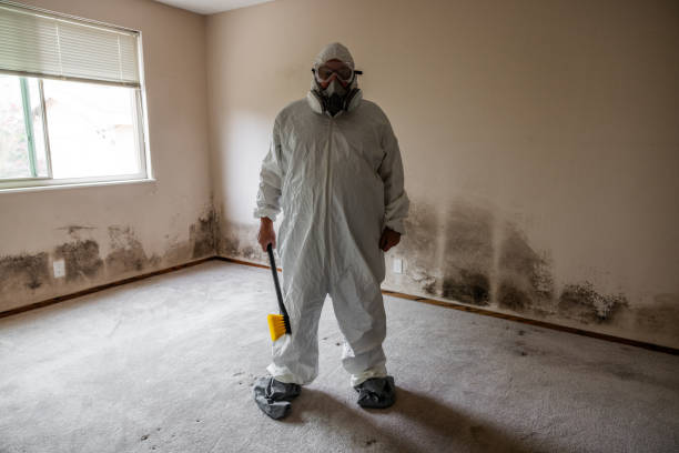 Best Home Mold Removal  in Sherwood Manor, CT